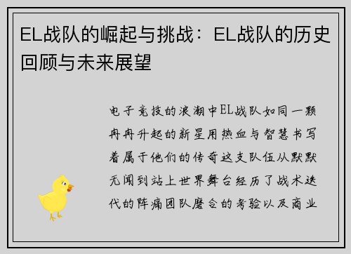 EL战队的崛起与挑战：EL战队的历史回顾与未来展望