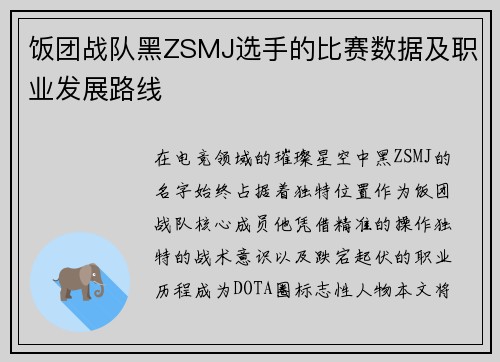饭团战队黑ZSMJ选手的比赛数据及职业发展路线